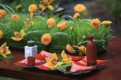 A tray with orange flowers, a red bottle, and a small container on a green background.