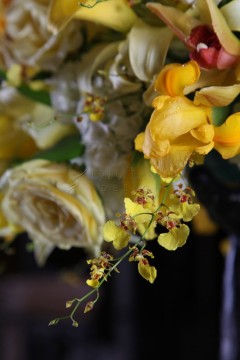 Close-up of delicate yellow orchids with blurred flowers in the background.