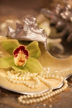 A green orchid with pearls on a silver tray.